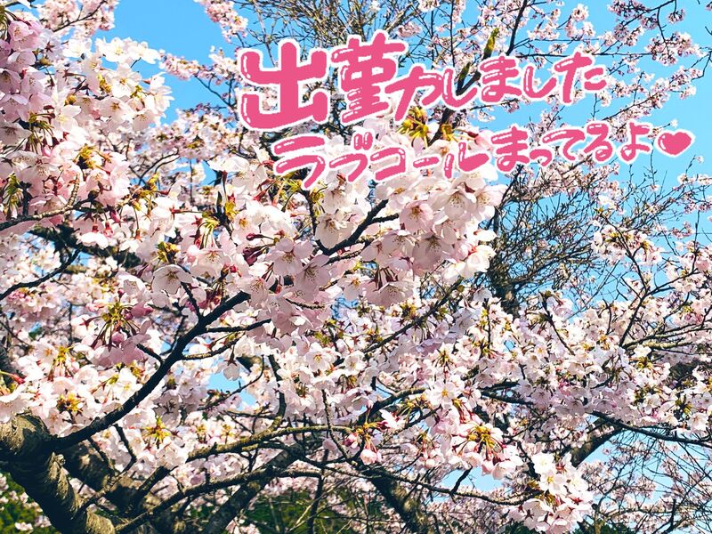 ゆいか 写メ日記 4/8(火) 14:06