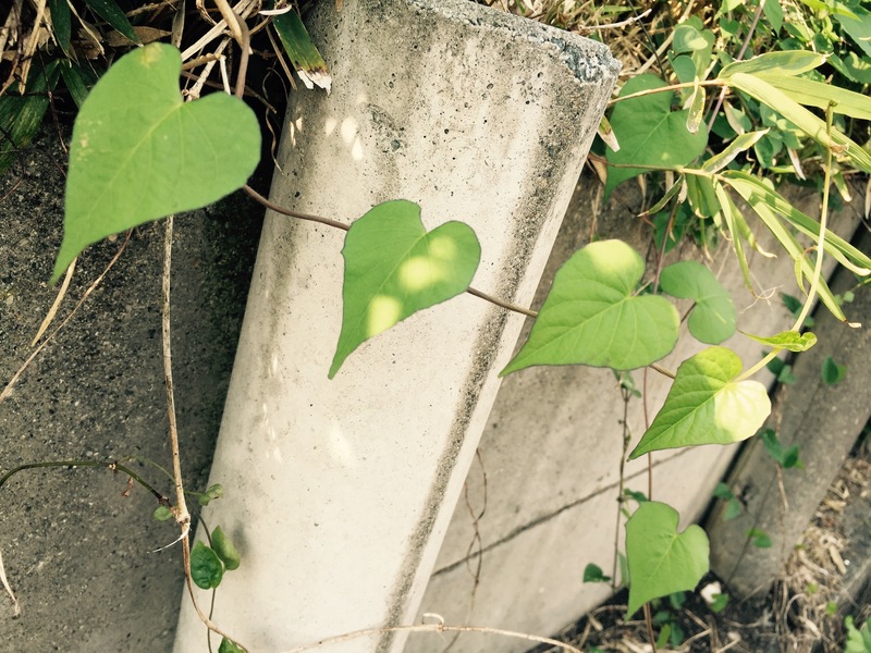 ゆいか 写メ日記 5/1(木) 12:16