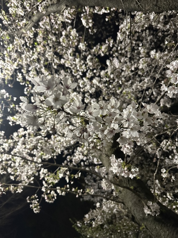 みみ 写メ日記 4/9(水) 14:22