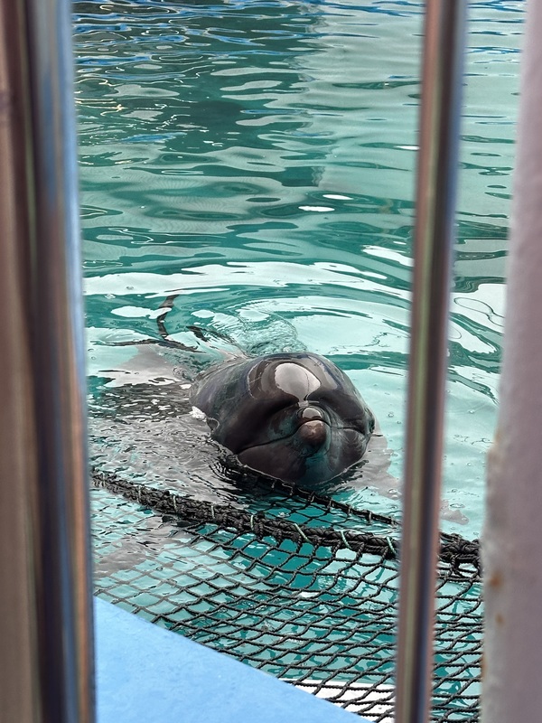 みみ 写メ日記 5/13(火) 13:03