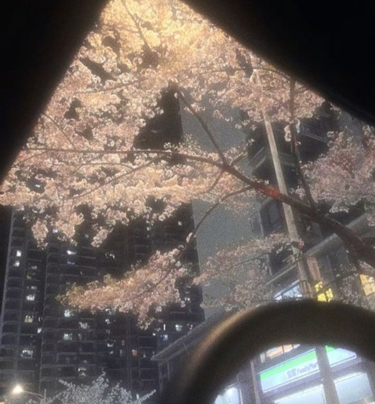 しおり 写メ日記 4/11(金) 15:59