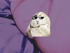 写メ日記 きゆう 10/10(土) 06:01