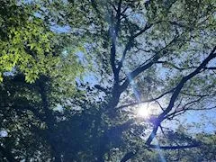 写メ日記 楼妃乃あいら 5/10(日) 02:54