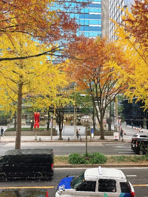 和香 写メ日記 11/25(火) 10:03