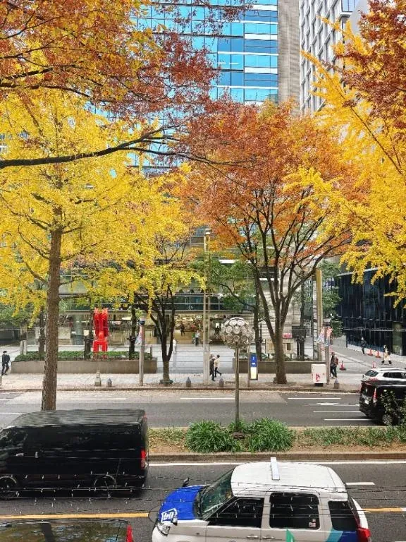 写メ日記 和香 11/25(火) 10:03