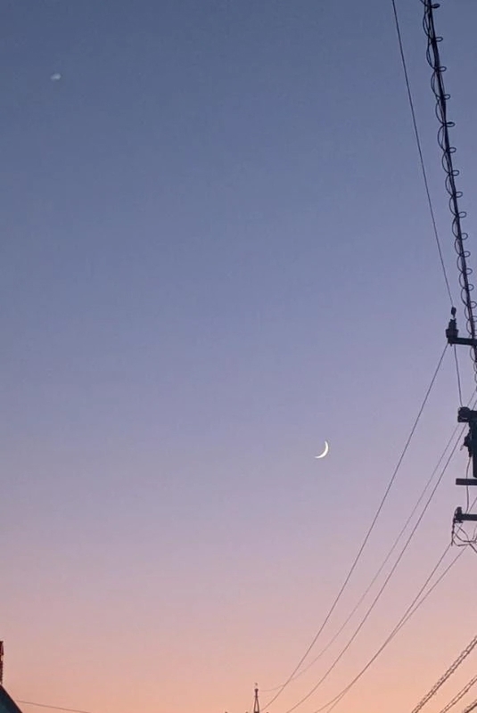 ぽむ 写メ日記 11/23(日) 22:48