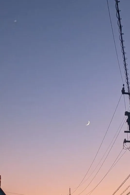 写メ日記 ぽむ 11/23(日) 22:48