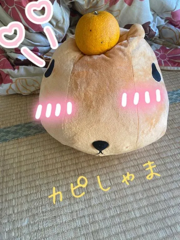 写メ日記 真綾 4/20(月) 22:03