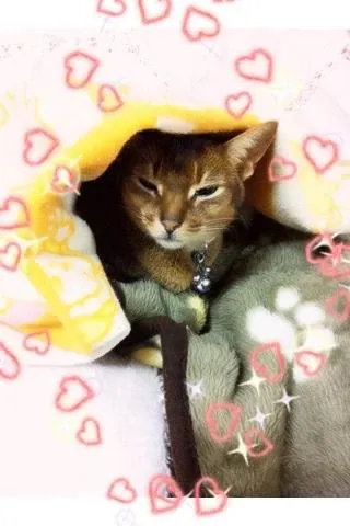 写メ日記 真綾 5/4(月) 13:43