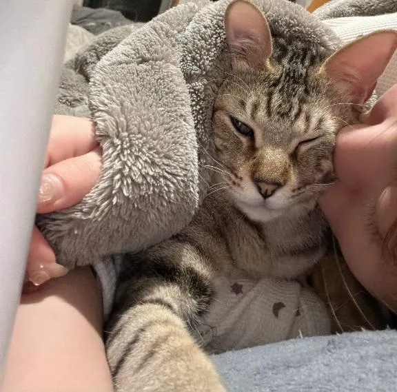 写メ日記 はな 3/26(木) 22:14