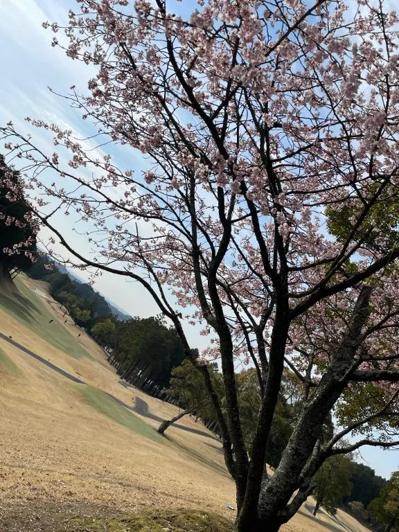 写メ日記 さき 3/24(火) 10:15