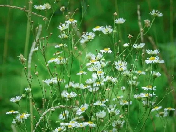 写メ日記 じゅんな 4/20(月) 08:03