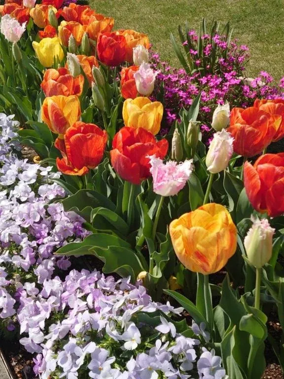 写メ日記 ゆら 4/2(木) 09:43