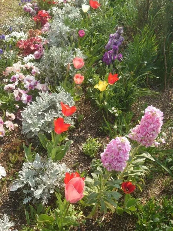 写メ日記 ゆら 4/12(日) 12:23