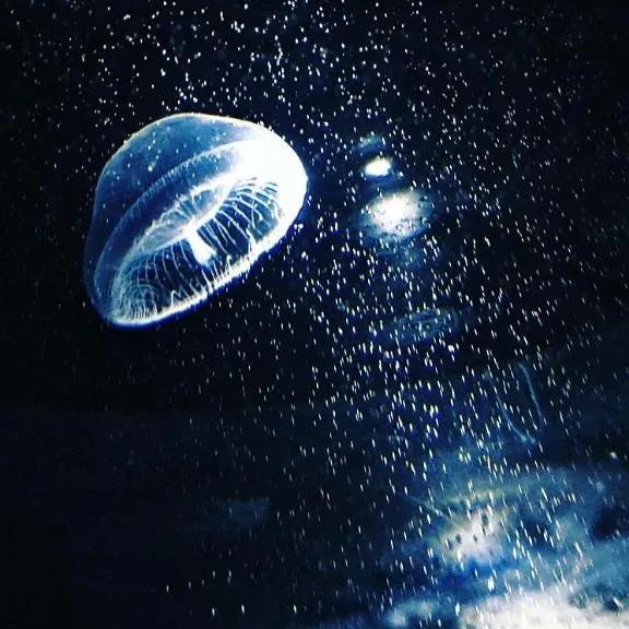 写メ日記 なずな 3/28(土) 03:27