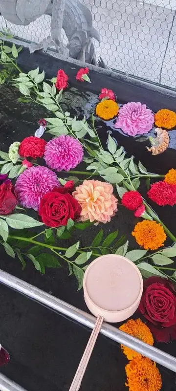 写メ日記 まつり 5/24(日) 14:53