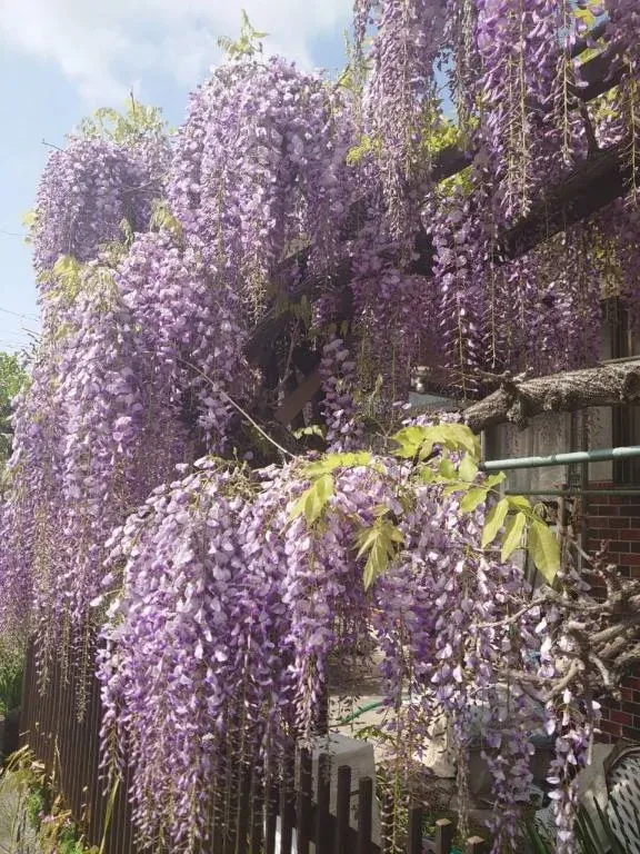 写メ日記 ゆず 4/19(日) 16:41