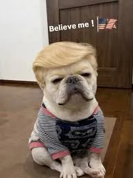 写メ日記 りな 4/26(日) 23:56