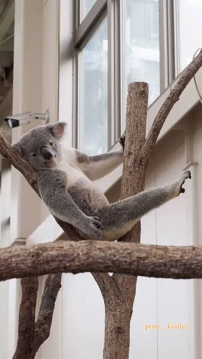 写メ日記 りな 4/27(月) 22:41