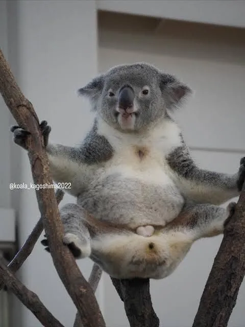 写メ日記 りな 4/29(水) 22:56