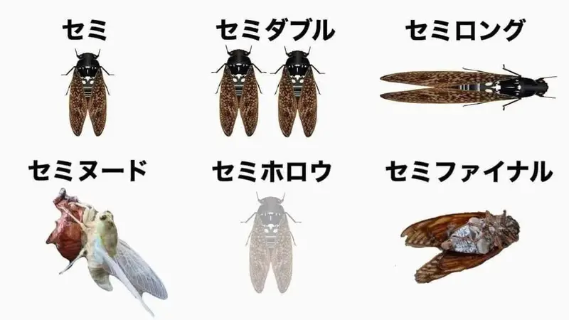 写メ日記 りな 7/14(火) 10:01