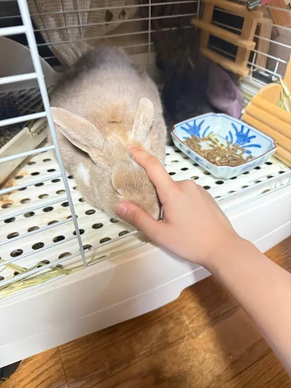 写メ日記 あかり 9/1(火) 16:48