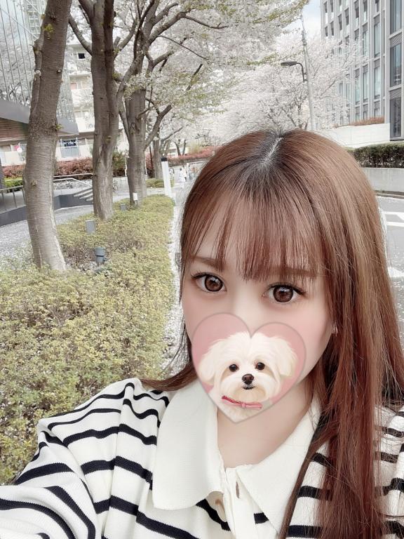 みお 写メ日記 3/31(月) 13:10