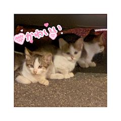 まみ 写メ日記 10/9(木) 18:09