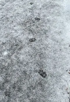 写メ日記 みやび 2/25(水) 18:52