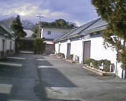 大松-1