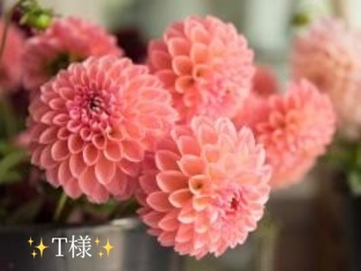 写メ日記 小山真帆 9/10(水) 19:56