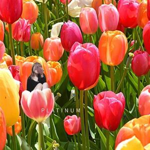 写メ日記 未経験まみ 9/11(木) 12:16