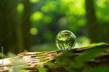 写メ日記 ふうか 9/12(金) 13:15