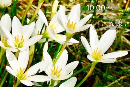 写メ日記 小山真帆 9/13(土) 18:14