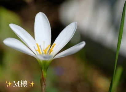 写メ日記 小山真帆 9/13(土) 18:24