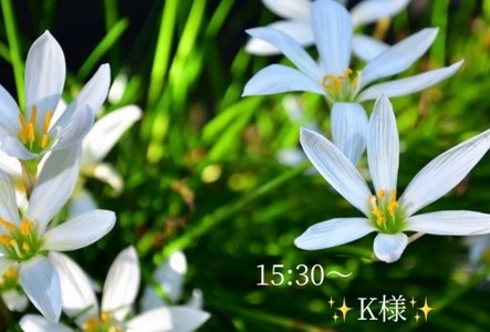 写メ日記 小山真帆 9/13(土) 18:46