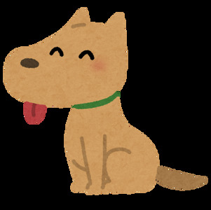 写メ日記 ひなた 9/14(日) 15:26