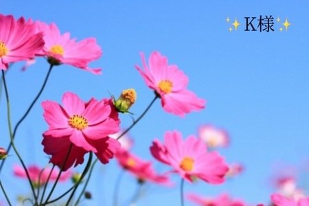 写メ日記 小山真帆 9/14(日) 19:24