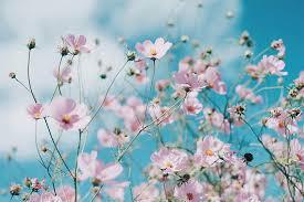 写メ日記 矢田(やだ) 9/15(月) 20:59