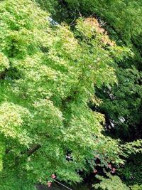 写メ日記 川島尚美 9/16(火) 14:14