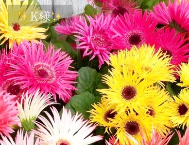 写メ日記 小山真帆 9/16(火) 19:30