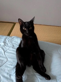 写メ日記 ほのか 9/17(水) 12:54