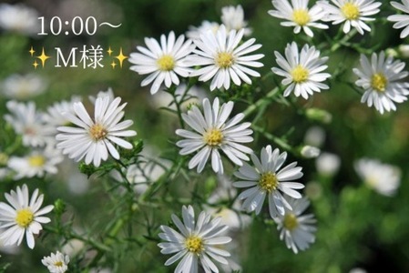 写メ日記 小山真帆 9/18(木) 20:24