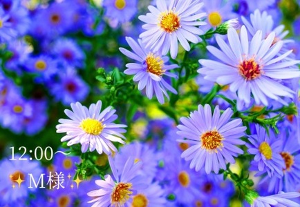 写メ日記 小山真帆 9/18(木) 21:19