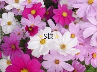 写メ日記 小山真帆 9/18(木) 22:34