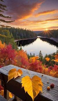 写メ日記 ともこ 9/19(金) 19:08