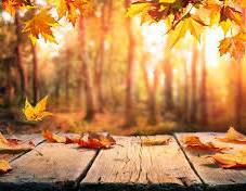 写メ日記 矢田(やだ) 9/19(金) 20:29