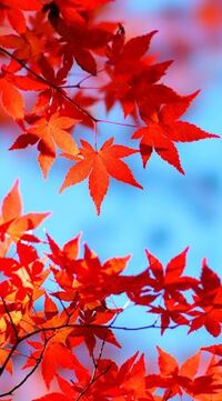 写メ日記 ともこ 9/20(土) 10:04