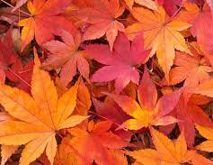 写メ日記 矢田(やだ) 9/20(土) 10:40