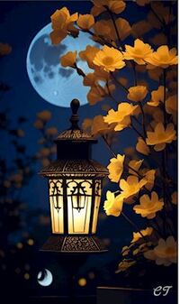 写メ日記 ともこ 9/20(土) 18:09